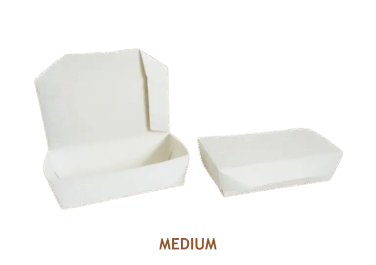 Lunch-Box-03.png