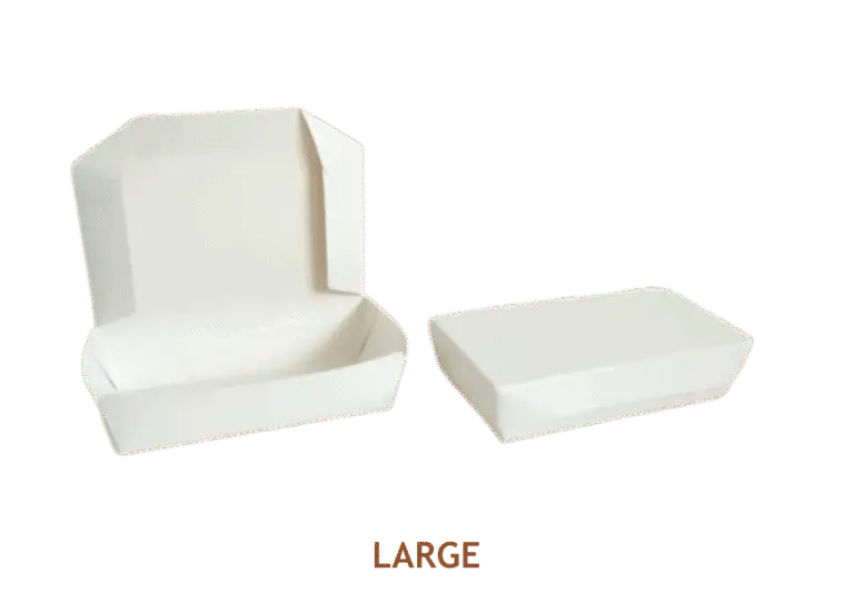 Lunch-Box-05.png