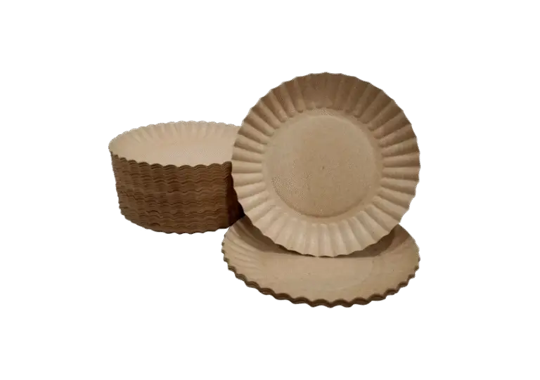 Paper-Plate.png