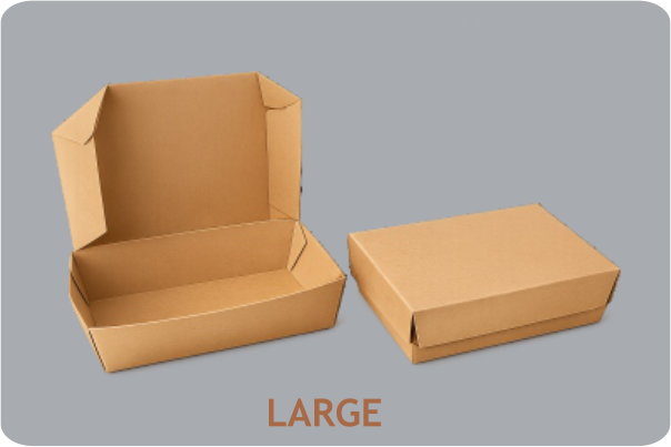 Lunch Box6