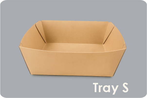 Paper Tray 2