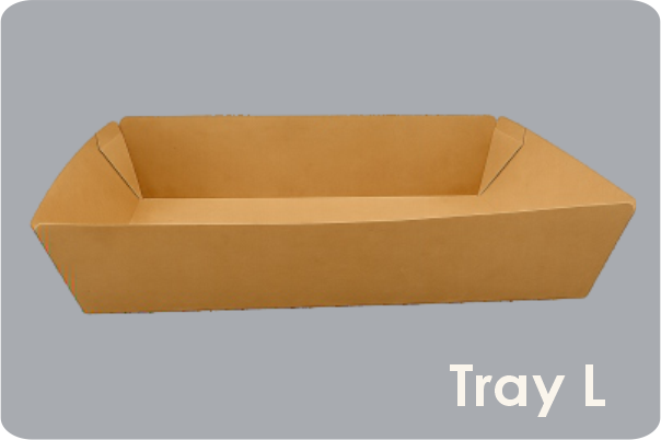 Paper Tray 6